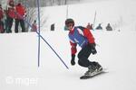 Dualsnow
