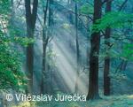 Hukvaldy 004